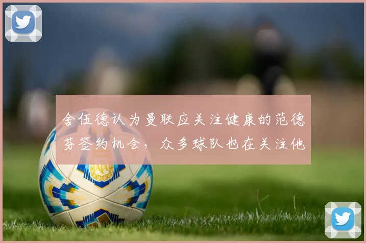 舍伍德认为曼联应关注健康的范德芬签约机会，众多球队也在关注他