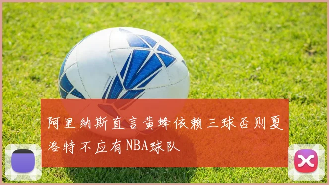 阿里纳斯直言黄蜂依赖三球否则夏洛特不应有NBA球队